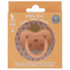 Hevea pacifier 3-36 months Orthodontic - Cantaloupe